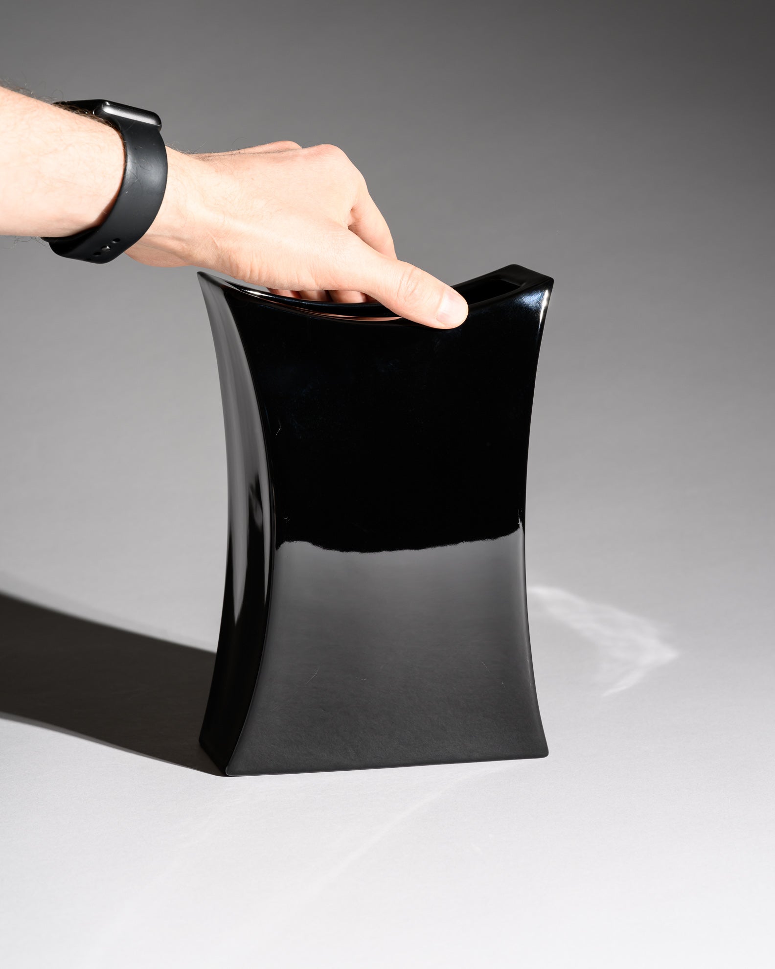 Glossy Black Porcelain Duo – Jan van der Vaart & Platt & Young for Rosenthal, 1980s