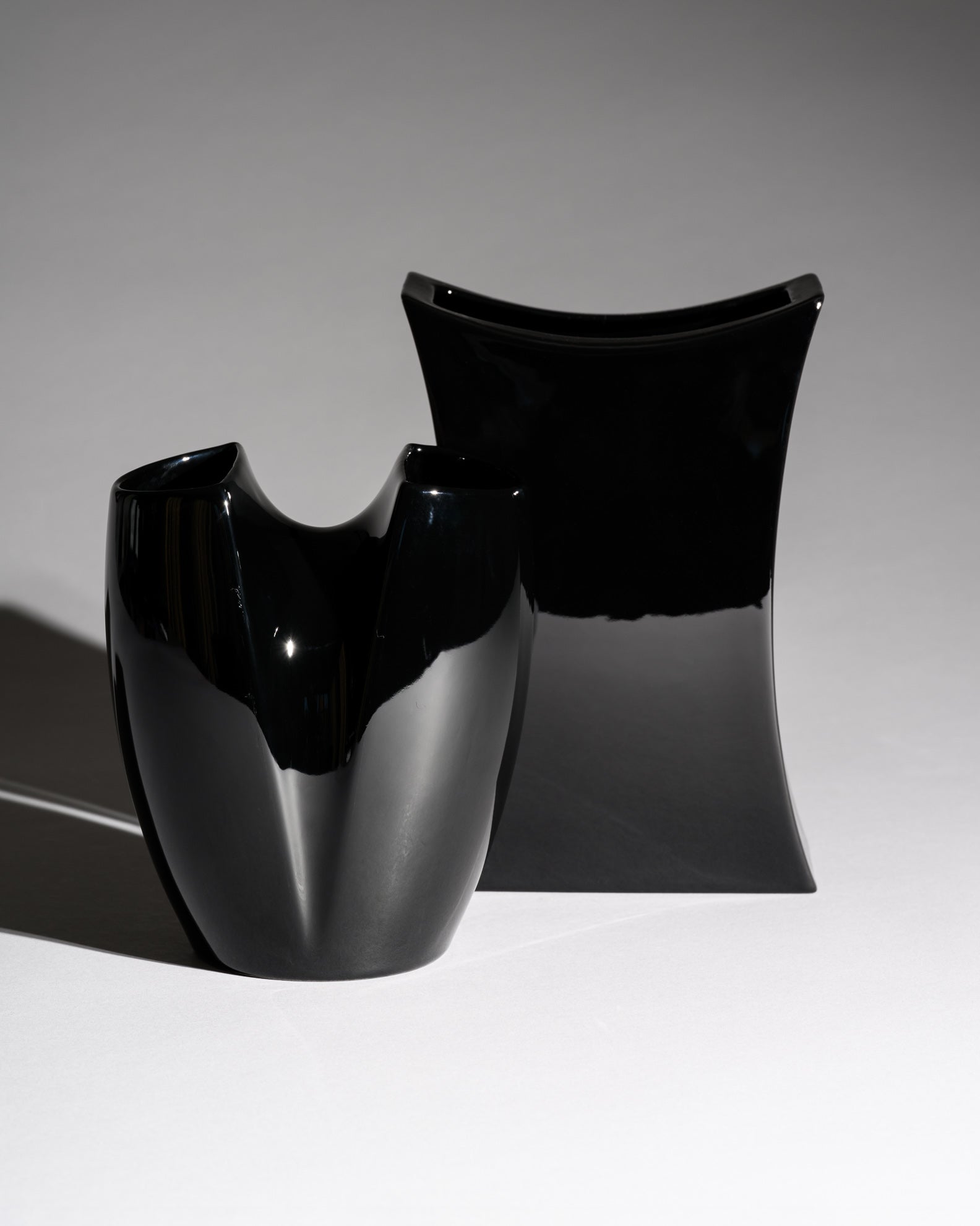 Glossy Black Porcelain Duo – Jan van der Vaart & Platt & Young for Rosenthal, 1980s