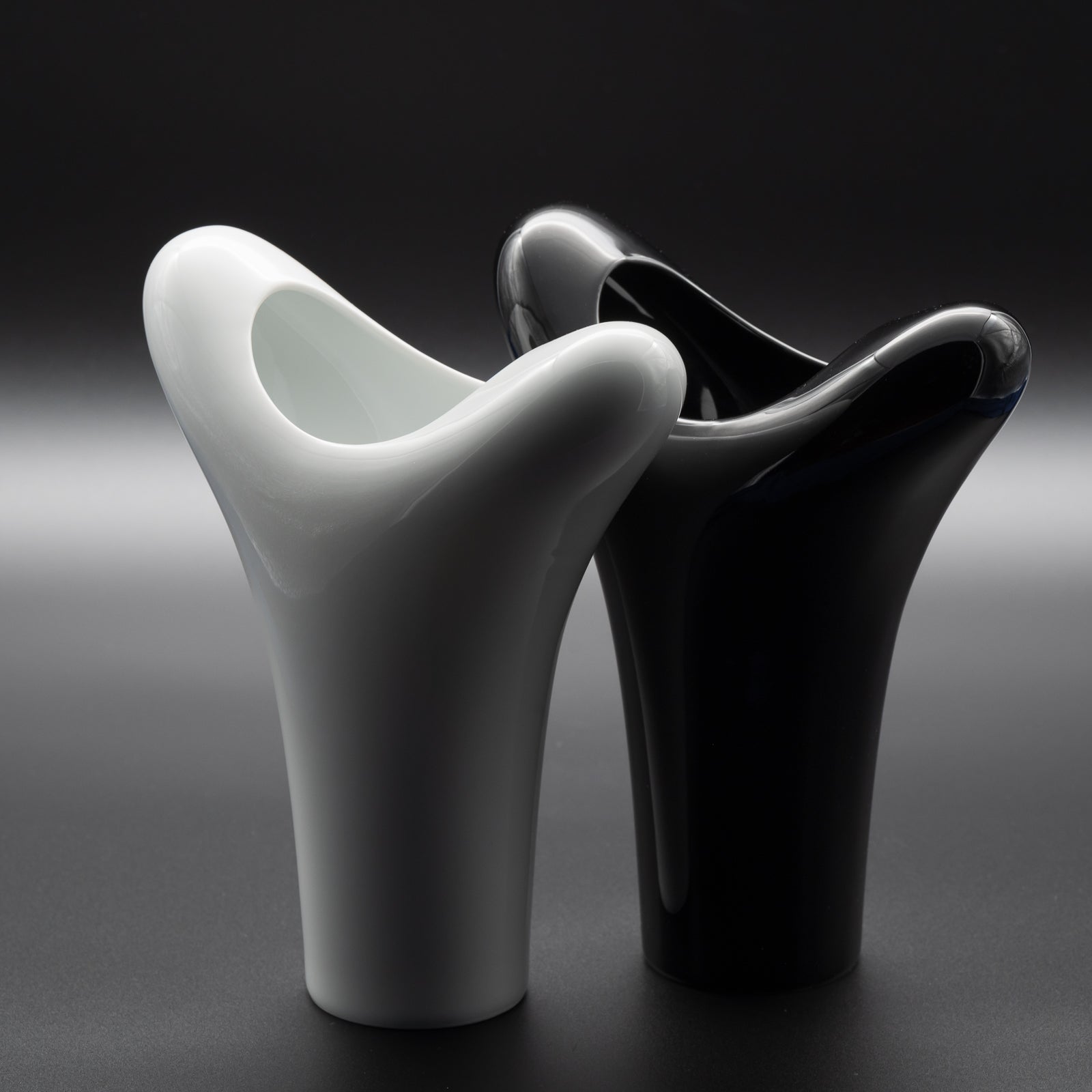 Porcelain Vase Duo “Spirit” – Robin Platt & Cairn Young for Rosenthal, 90s
