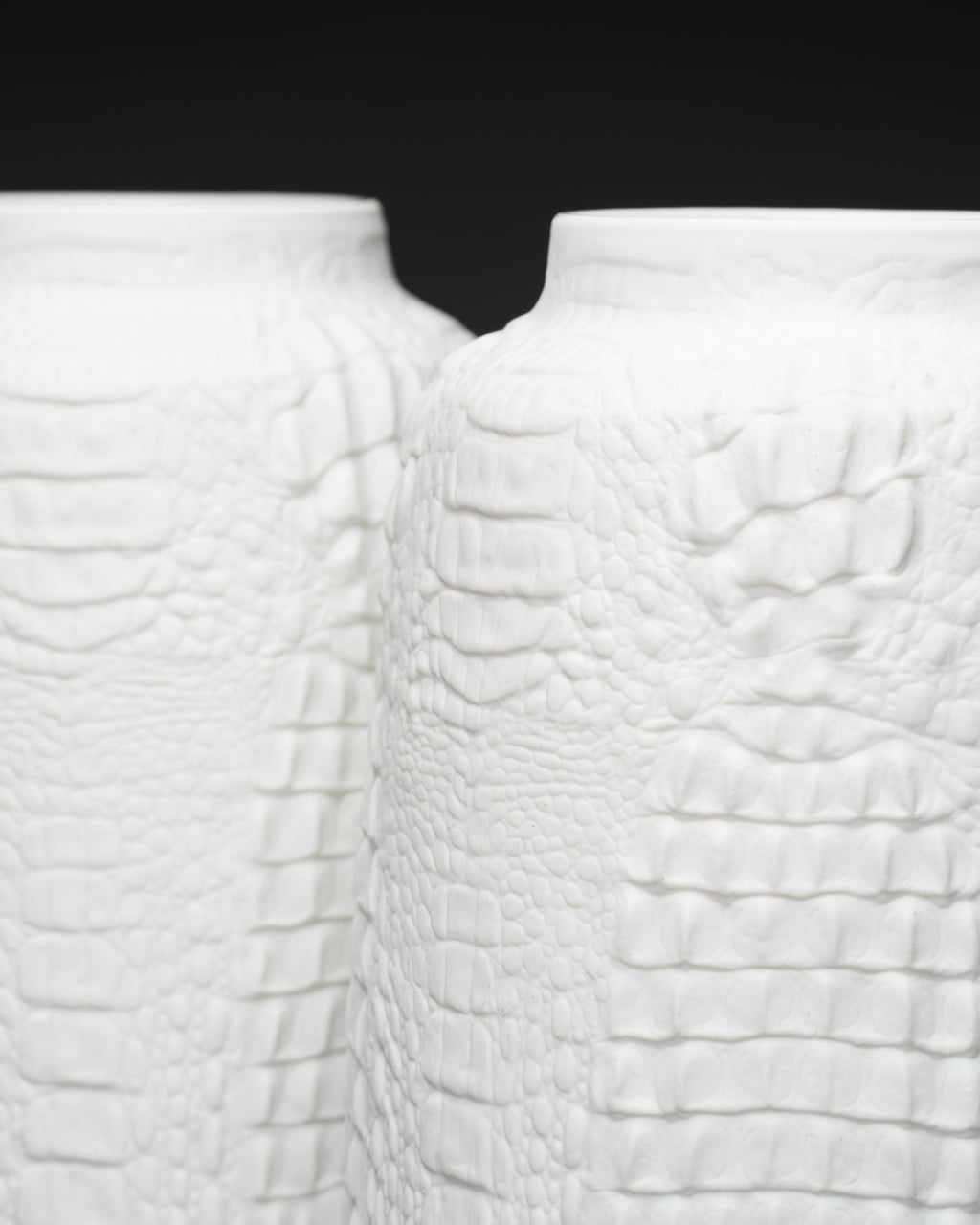 Reptile Relief Vase Duo – AK Kaiser, 1970s–1980s