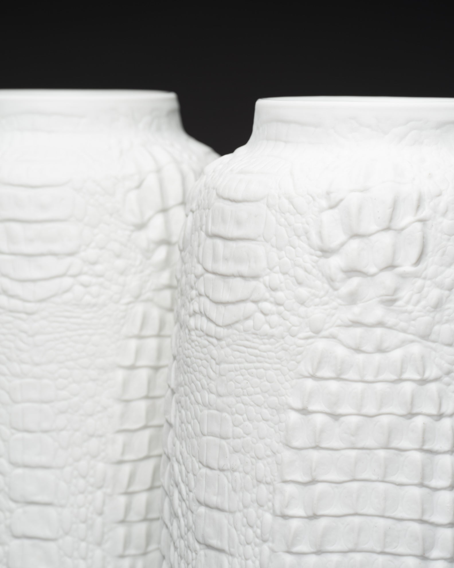 Reptile Relief Vase Duo – AK Kaiser, 1970s–1980s