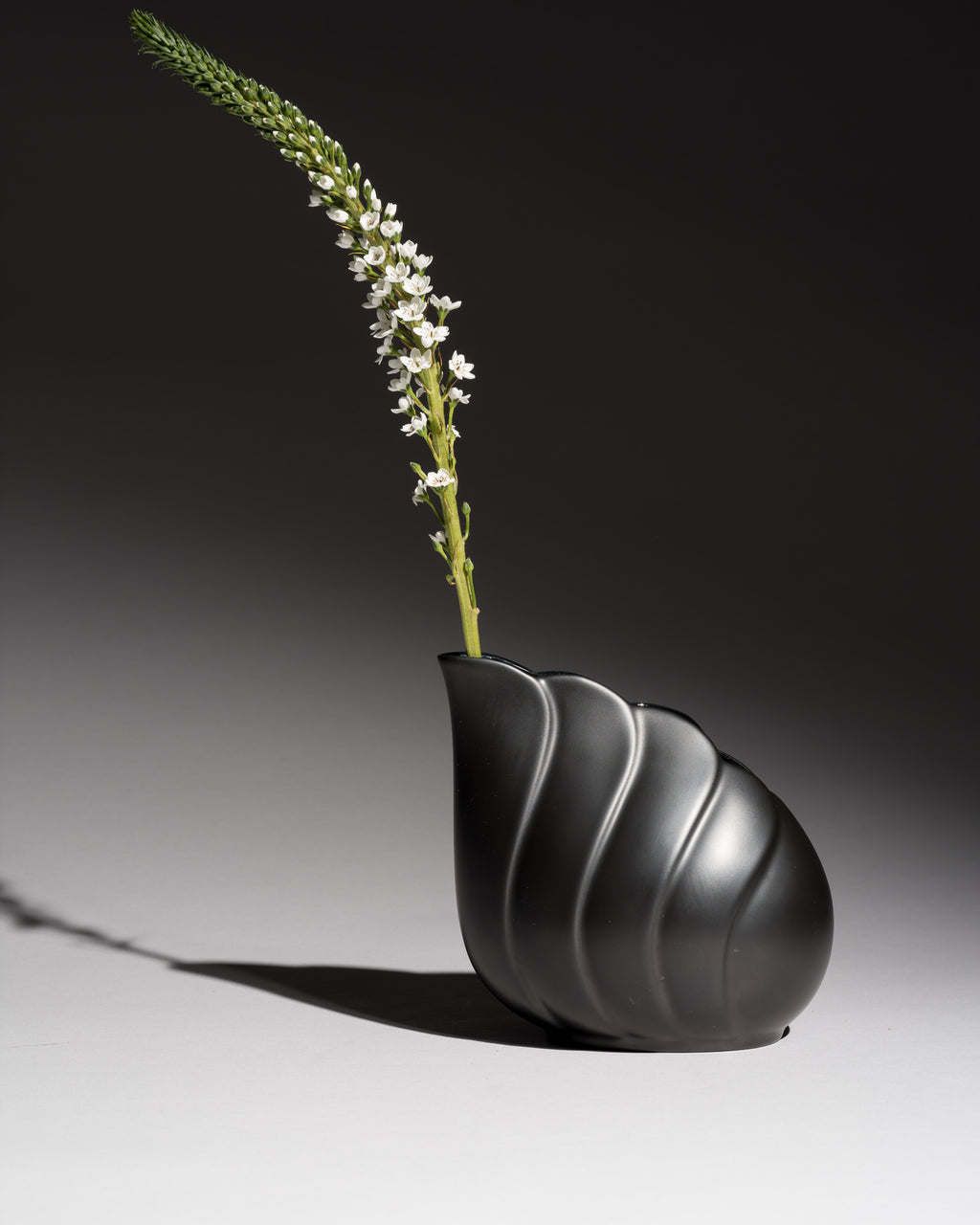 Black Matte Porcelain Vase - Uta Feyl for Rosenthal, 1980s