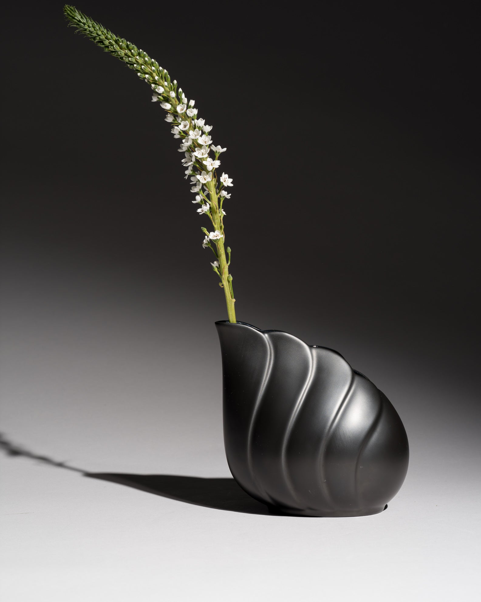 Black Matte Porcelain Vase - Uta Feyl for Rosenthal, 1980s