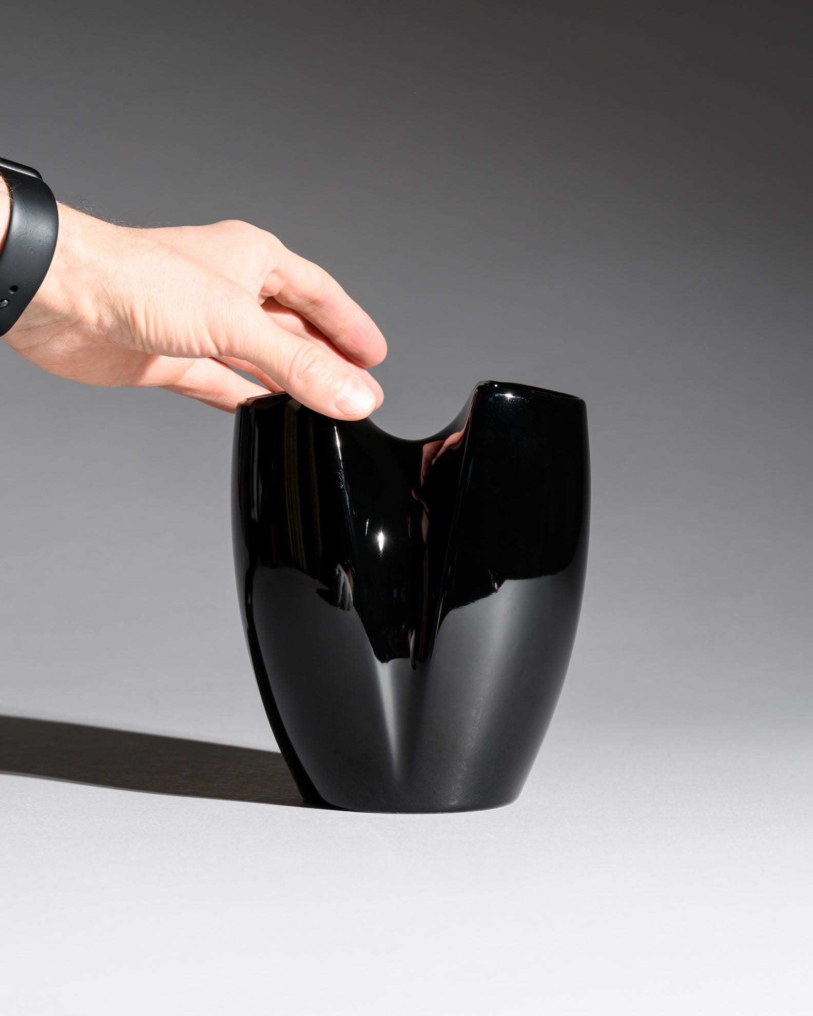 Glossy Black Porcelain Duo – Jan van der Vaart & Platt & Young for Rosenthal, 1980s