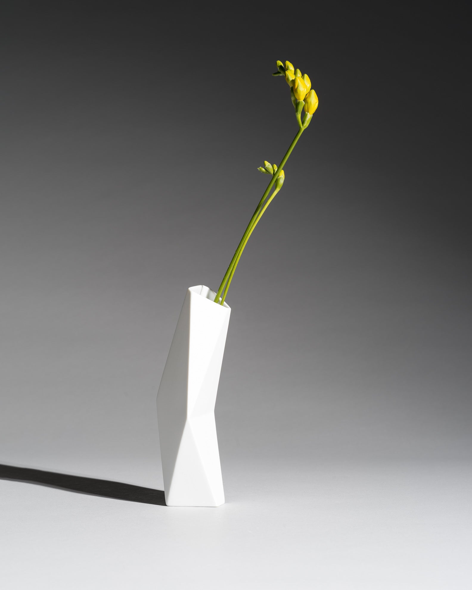 Surface Porcelain Vase – Achim Haigis for Rosenthal, 2000s